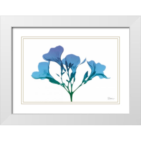 Oleander Turq Indigo White Modern Wood Framed Art Print with Double Matting by Koetsier, Albert