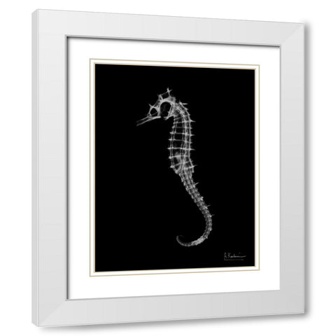 Seahorse In The Dark White Modern Wood Framed Art Print with Double Matting by Koetsier, Albert