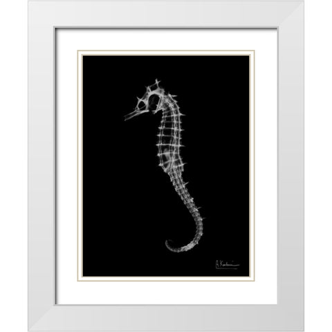 Seahorse In The Dark White Modern Wood Framed Art Print with Double Matting by Koetsier, Albert