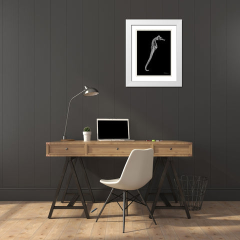 Seahorse In The Black White Modern Wood Framed Art Print with Double Matting by Koetsier, Albert