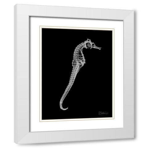 Seahorse In The Black White Modern Wood Framed Art Print with Double Matting by Koetsier, Albert