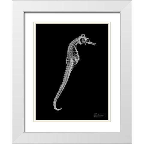 Seahorse In The Black White Modern Wood Framed Art Print with Double Matting by Koetsier, Albert