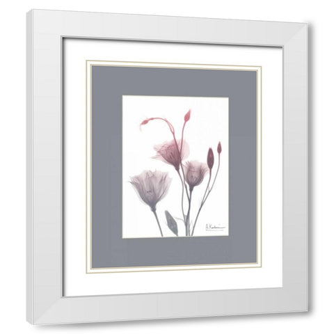 GentianB9 Pink Matte White Modern Wood Framed Art Print with Double Matting by Koetsier, Albert