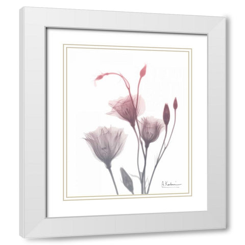 GentianB9 Pink White Modern Wood Framed Art Print with Double Matting by Koetsier, Albert