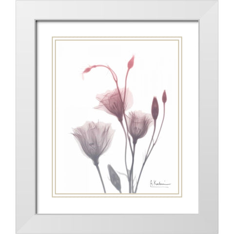 GentianB9 Pink White Modern Wood Framed Art Print with Double Matting by Koetsier, Albert