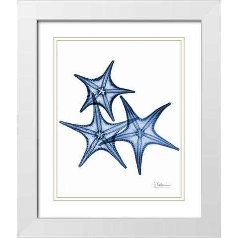 Blue Trio Starfish White Modern Wood Framed Art Print with Double Matting by Koetsier, Albert