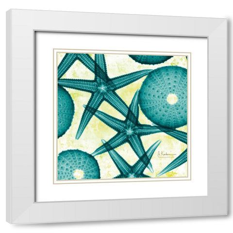 Starfish Trip 2 White Modern Wood Framed Art Print with Double Matting by Koetsier, Albert