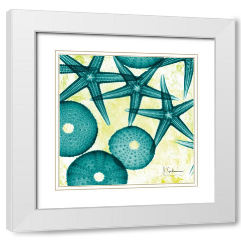 Starfish Trip 3 White Modern Wood Framed Art Print with Double Matting by Koetsier, Albert