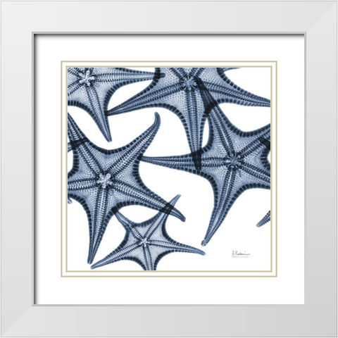 Starfish Trip 4 White Modern Wood Framed Art Print with Double Matting by Koetsier, Albert