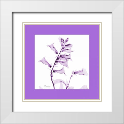 Foxglove  Bordered White Modern Wood Framed Art Print with Double Matting by Koetsier, Albert