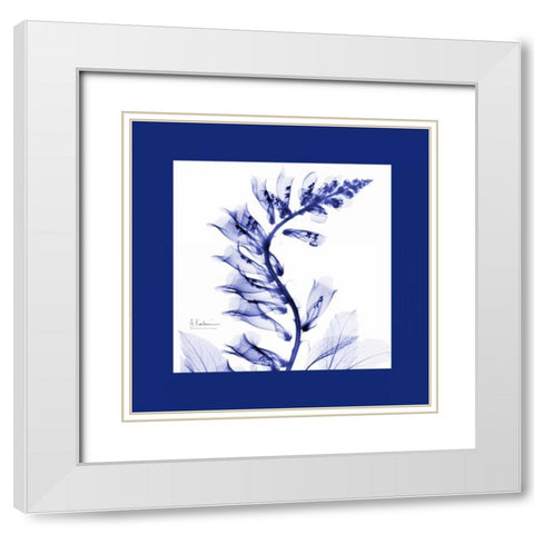 FoxgloveC77 Bordered White Modern Wood Framed Art Print with Double Matting by Koetsier, Albert