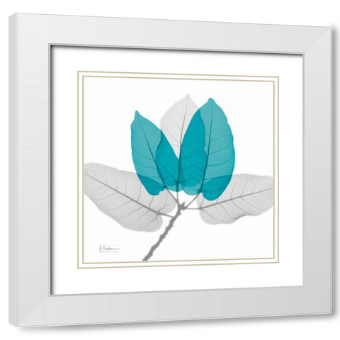 Ficus Burkey Teal White Modern Wood Framed Art Print with Double Matting by Koetsier, Albert