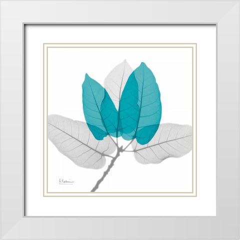 Ficus Burkey Teal White Modern Wood Framed Art Print with Double Matting by Koetsier, Albert