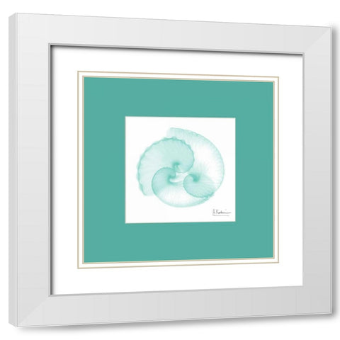 Argonaut Seafoam Matte White Modern Wood Framed Art Print with Double Matting by Koetsier, Albert