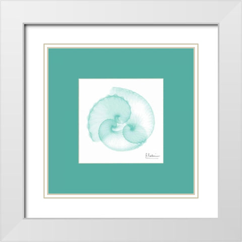 Argonaut Seafoam Matte White Modern Wood Framed Art Print with Double Matting by Koetsier, Albert