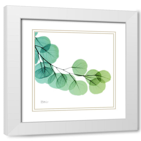 Eucalyptus Green White Modern Wood Framed Art Print with Double Matting by Koetsier, Albert