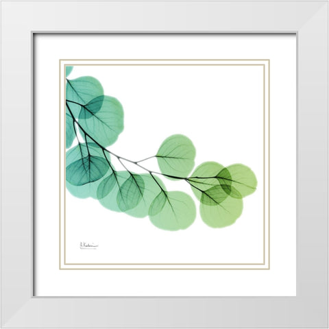 Eucalyptus Green White Modern Wood Framed Art Print with Double Matting by Koetsier, Albert