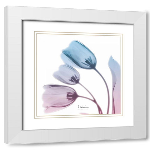 Soft Tulips Rose Serenity White Modern Wood Framed Art Print with Double Matting by Koetsier, Albert