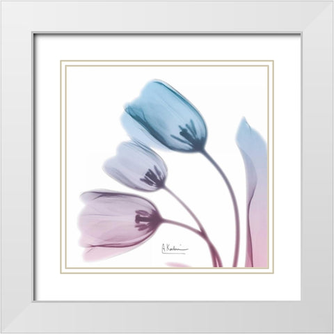 Soft Tulips Rose Serenity White Modern Wood Framed Art Print with Double Matting by Koetsier, Albert