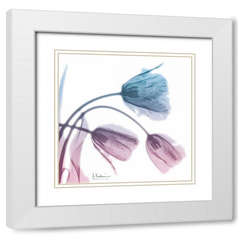 Tulips Rose Serenity White Modern Wood Framed Art Print with Double Matting by Koetsier, Albert