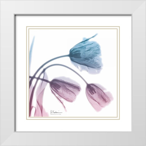 Tulips Rose Serenity White Modern Wood Framed Art Print with Double Matting by Koetsier, Albert