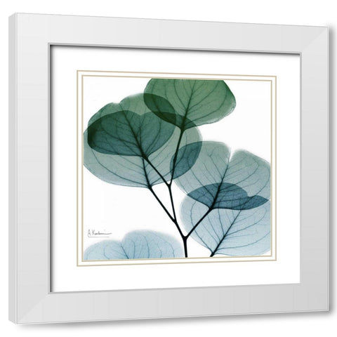 Dull Eucalyptus Mate White Modern Wood Framed Art Print with Double Matting by Koetsier, Albert