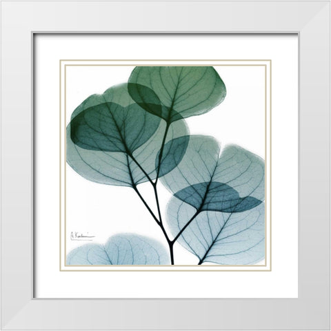 Dull Eucalyptus Mate White Modern Wood Framed Art Print with Double Matting by Koetsier, Albert