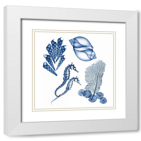 Blue Assortment One White Modern Wood Framed Art Print with Double Matting by Koetsier, Albert