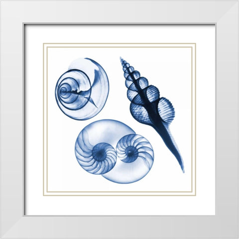 Blue Assortment Two White Modern Wood Framed Art Print with Double Matting by Koetsier, Albert