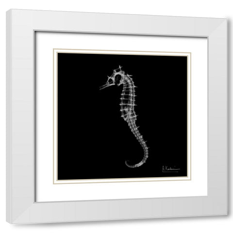 Seahorse In The Dark White Modern Wood Framed Art Print with Double Matting by Koetsier, Albert