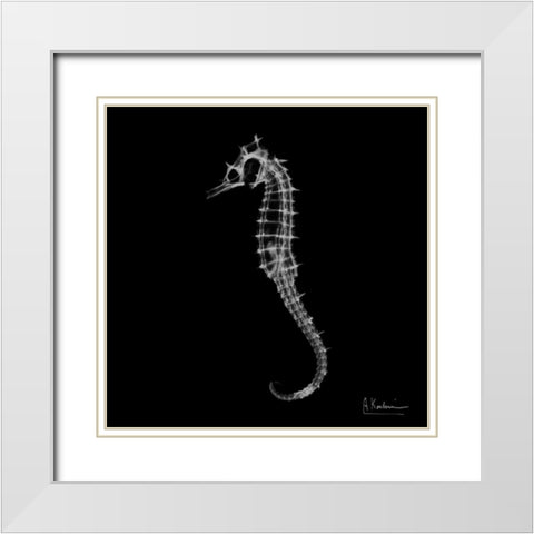 Seahorse In The Dark White Modern Wood Framed Art Print with Double Matting by Koetsier, Albert