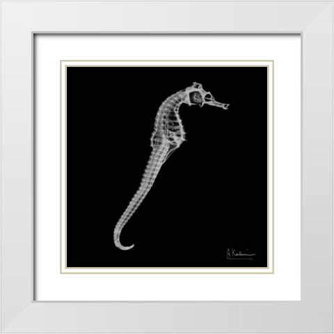 Seahorse In The Black White Modern Wood Framed Art Print with Double Matting by Koetsier, Albert