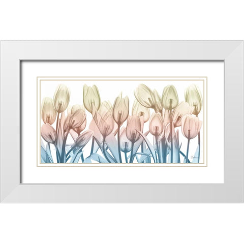 Spring Blooms White Modern Wood Framed Art Print with Double Matting by Koetsier, Albert