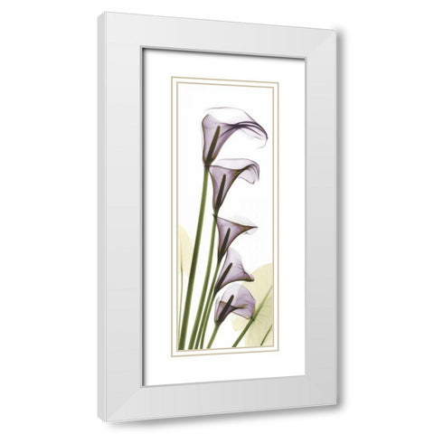 Lavender Dreams White Modern Wood Framed Art Print with Double Matting by Koetsier, Albert