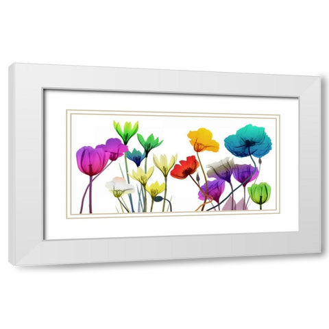 Floral Calm Pop White Modern Wood Framed Art Print with Double Matting by Koetsier, Albert