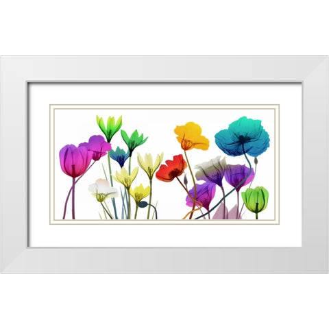 Floral Calm Pop White Modern Wood Framed Art Print with Double Matting by Koetsier, Albert