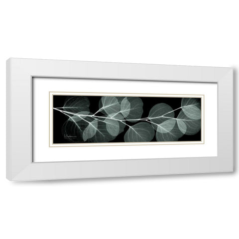 Eucalyptus Night 2 White Modern Wood Framed Art Print with Double Matting by Koetsier, Albert