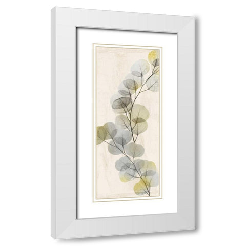 Golden Flaked 2 White Modern Wood Framed Art Print with Double Matting by Koetsier, Albert