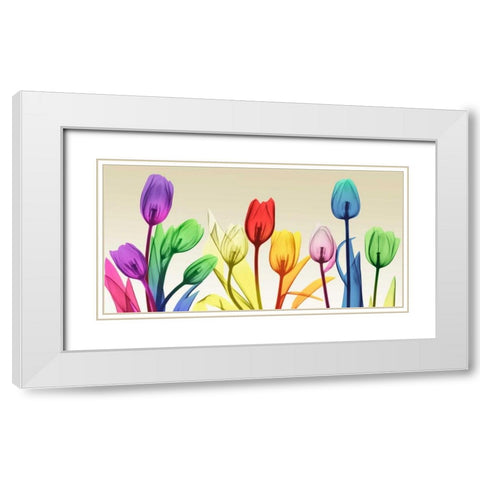 Floral Rainbow Splurge White Modern Wood Framed Art Print with Double Matting by Koetsier, Albert