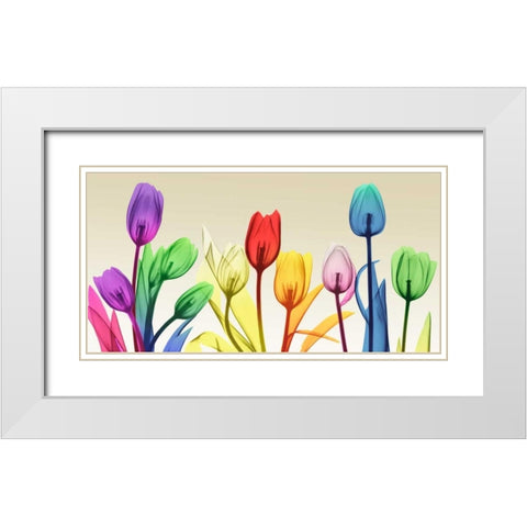 Floral Rainbow Splurge White Modern Wood Framed Art Print with Double Matting by Koetsier, Albert