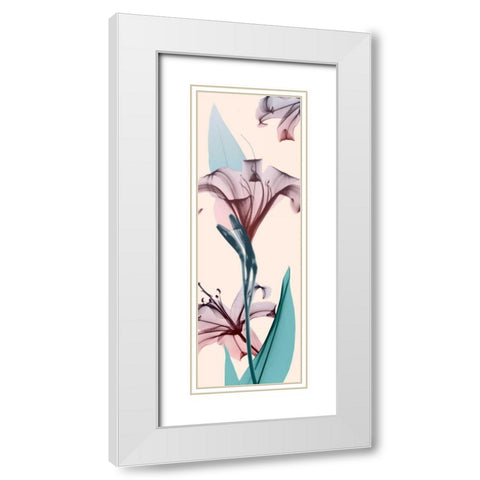 Spring Lily White Modern Wood Framed Art Print with Double Matting by Koetsier, Albert