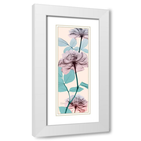 Spring Rose White Modern Wood Framed Art Print with Double Matting by Koetsier, Albert