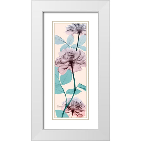 Spring Rose White Modern Wood Framed Art Print with Double Matting by Koetsier, Albert