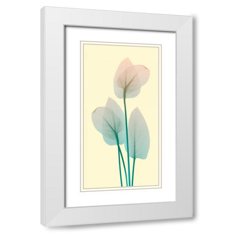 Blissful Bloom 1 White Modern Wood Framed Art Print with Double Matting by Koetsier, Albert
