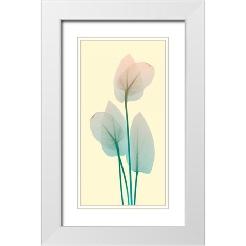 Blissful Bloom 1 White Modern Wood Framed Art Print with Double Matting by Koetsier, Albert