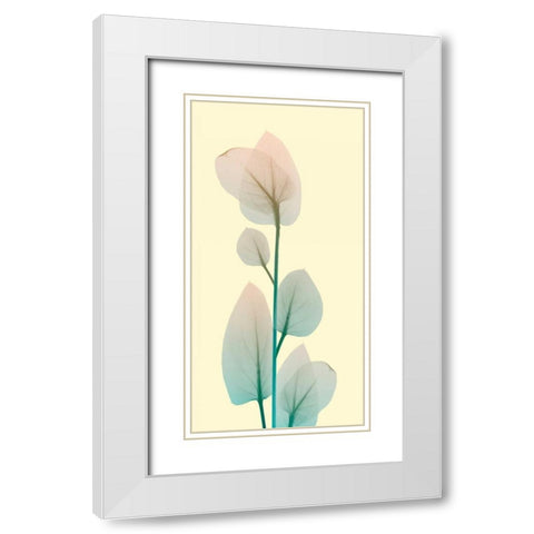 Blissful Bloom 2 White Modern Wood Framed Art Print with Double Matting by Koetsier, Albert