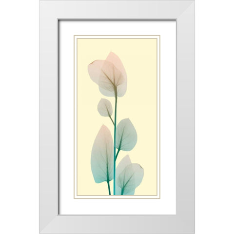 Blissful Bloom 2 White Modern Wood Framed Art Print with Double Matting by Koetsier, Albert