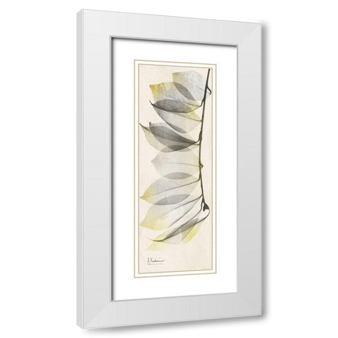 Camelia Sunshine White Modern Wood Framed Art Print with Double Matting by Koetsier, Albert