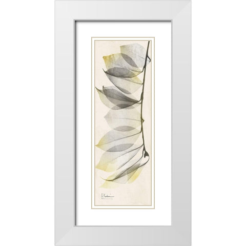 Camelia Sunshine White Modern Wood Framed Art Print with Double Matting by Koetsier, Albert