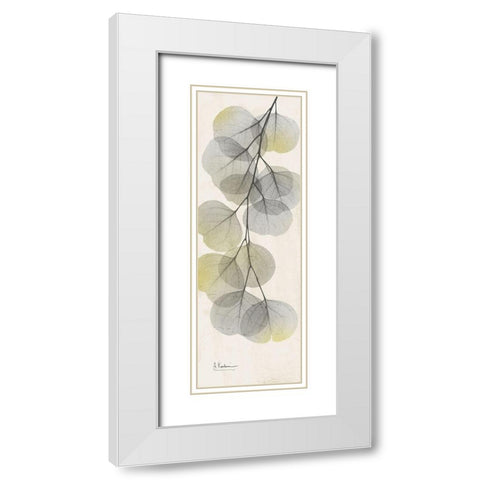 Eucalyptus Sunshine 2 White Modern Wood Framed Art Print with Double Matting by Koetsier, Albert